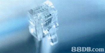 軟件生態(tài)系統(tǒng)的多樣化發(fā)展與應(yīng)用